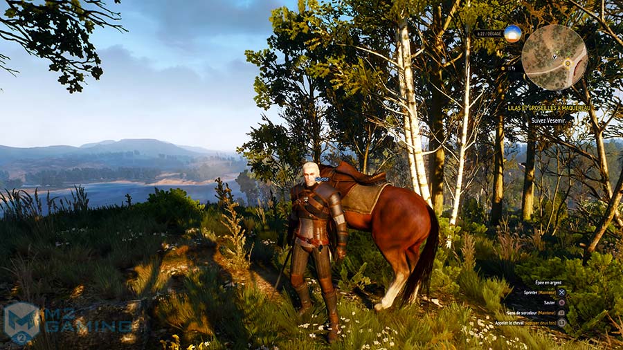 ps4 the witcher 3 wild hunt test