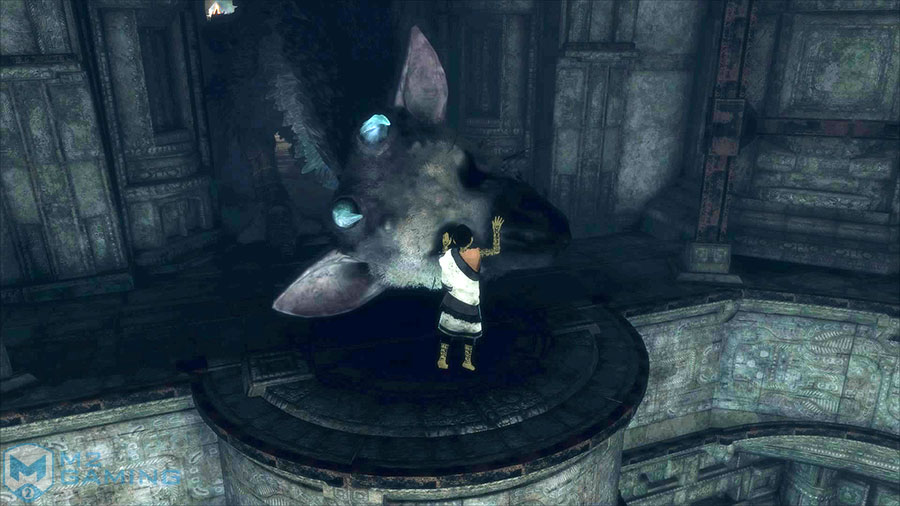 test ps4 the last guardian