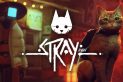 Stray