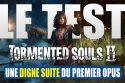 test tormented souls 2