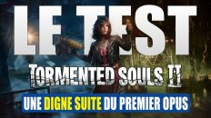 test tormented souls 2